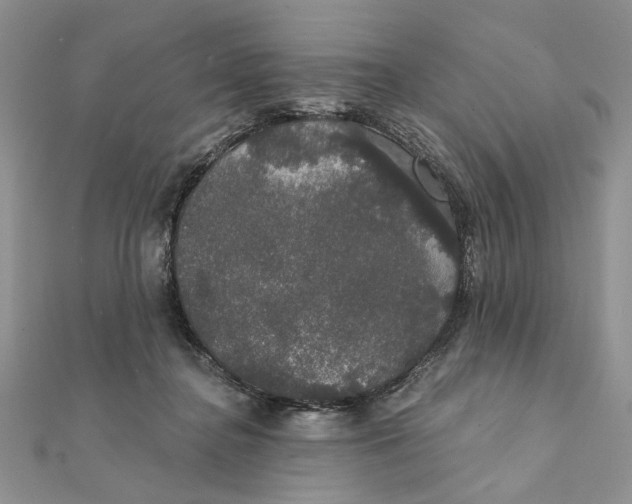 X0000111440364200908031357