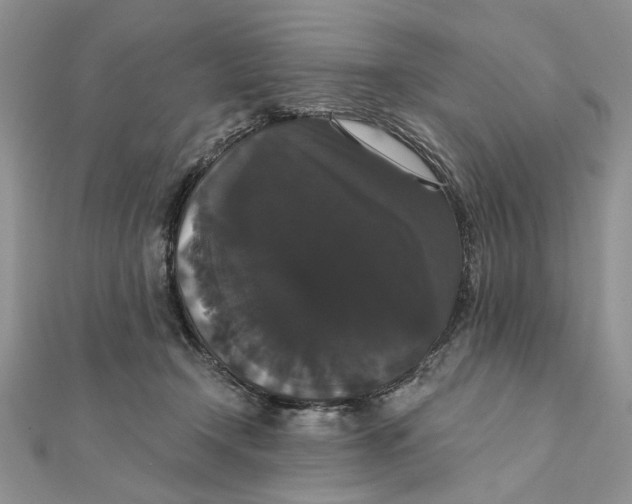 X0000111440366200908031357