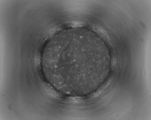 X0000111440367200908031357