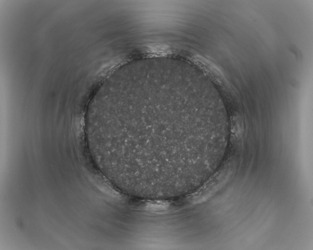 X0000111440369200908031357