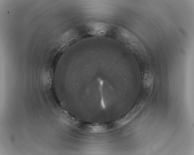 X0000111440370200908031357