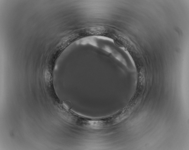 X0000111440371200908031357