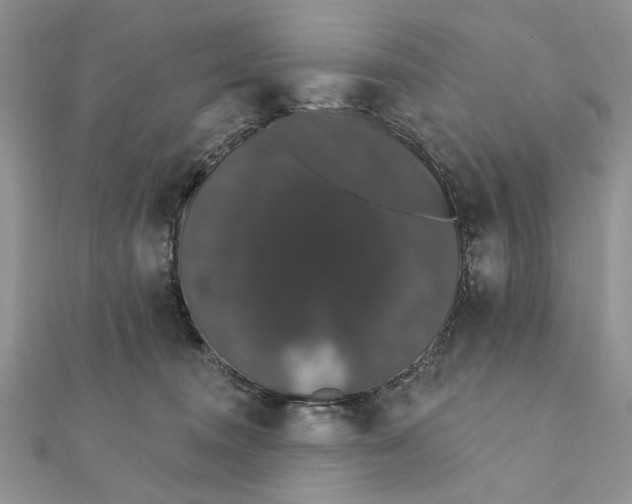 X0000111440372200908031357