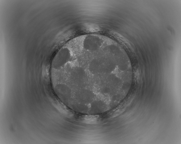 X0000111440373200908031357