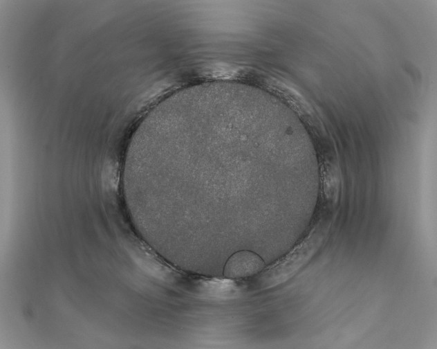 X0000111440374200908031357