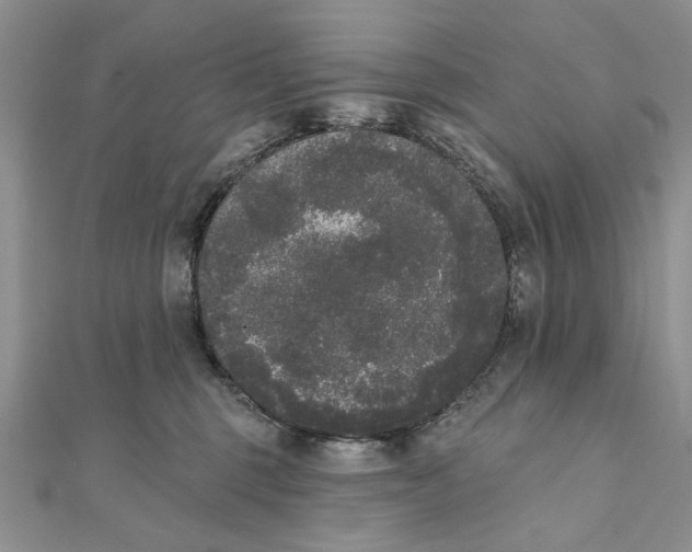 X0000111440375200908031357