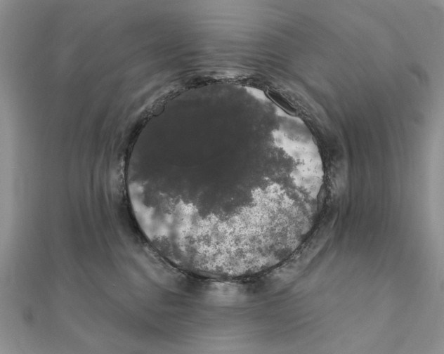 X0000111440376200908031357