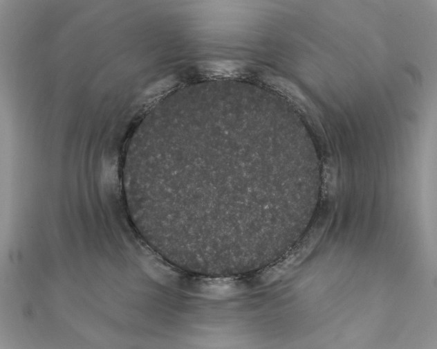 X0000111440377200908031357