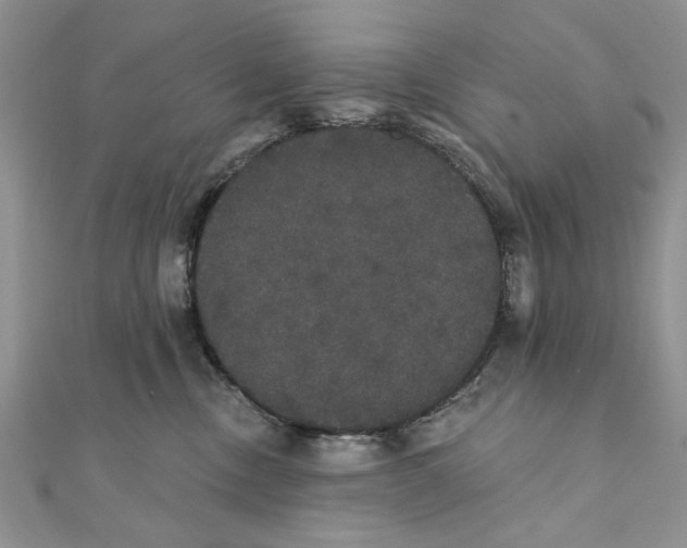 X0000111440378200908031357