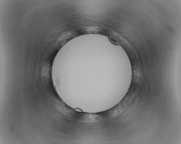 X0000111440379200908031357