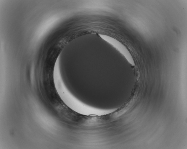 X0000111440382200908031357