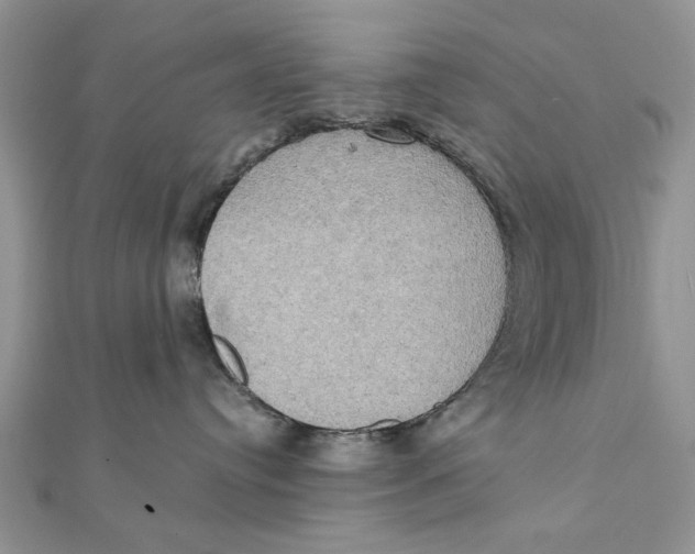 X0000111440384200908031357