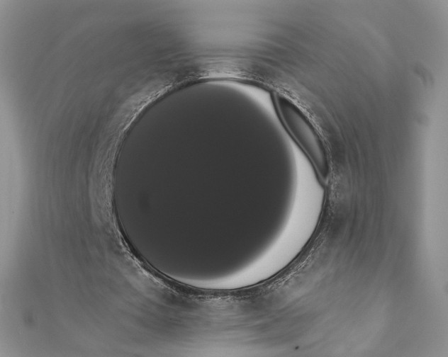 X0000111440385200908031357