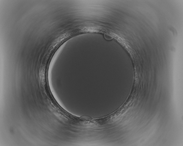 X0000111440386200908031357