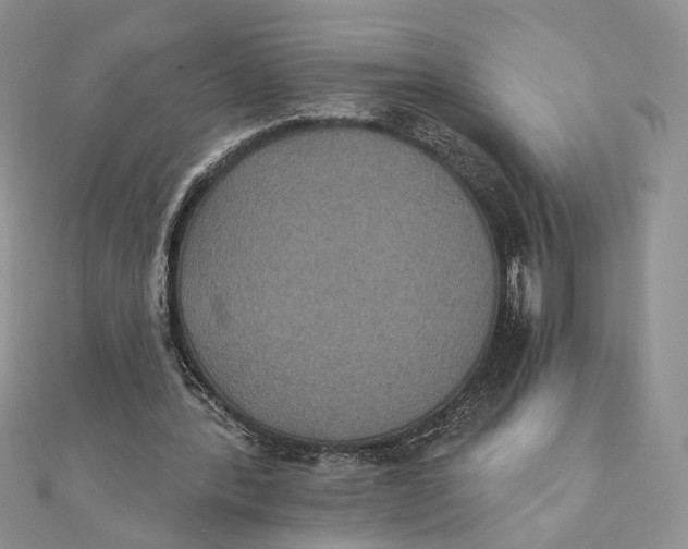 X0000111440388200908031357