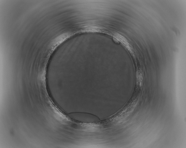 X0000111440389200908031357