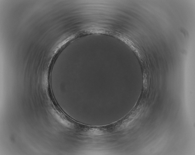 X0000111440390200908031357