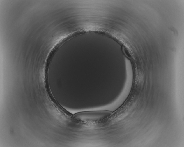 X0000111440391200908031357