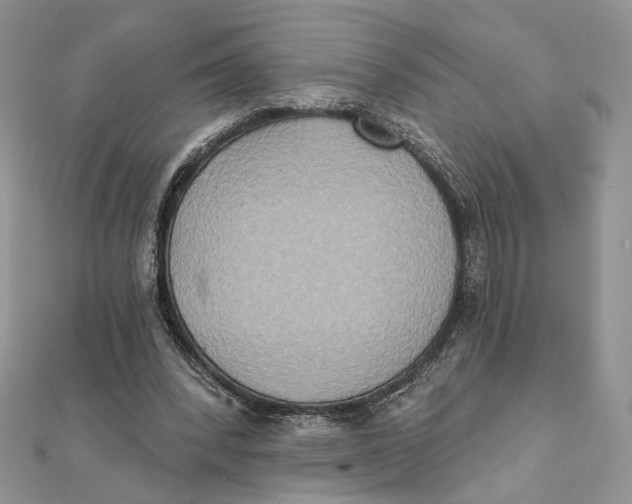 X0000111440392200908031357