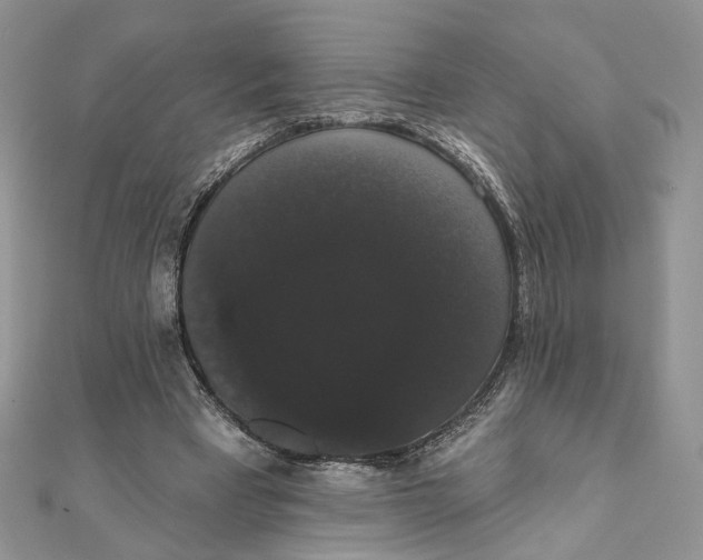 X0000111440393200908031357