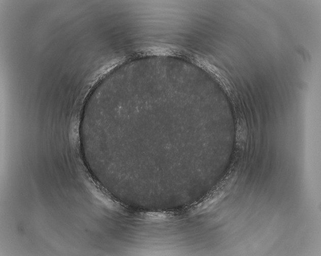 X0000111440394200908031356