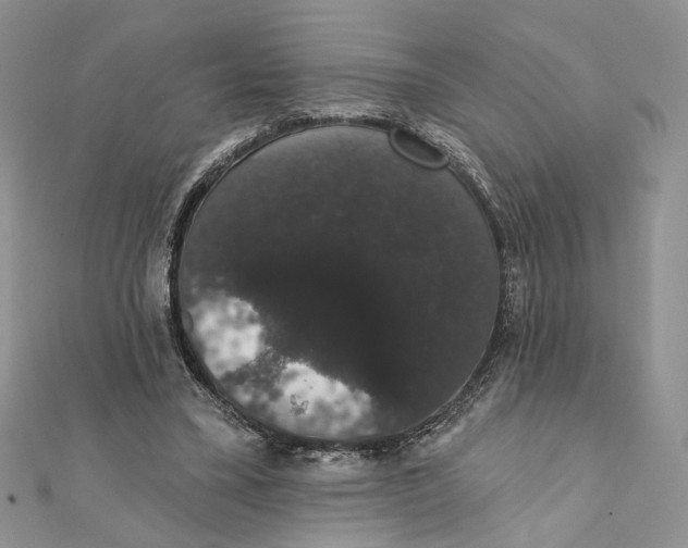 X0000111440395200908031356