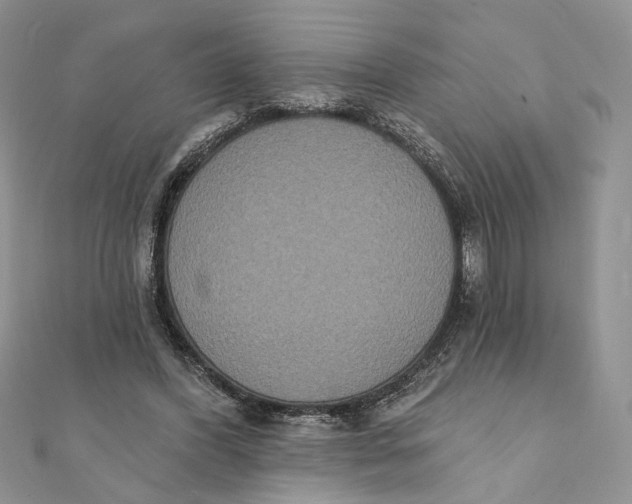 X0000111440396200908031356