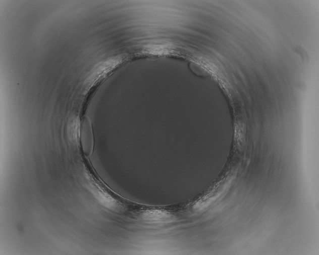 X0000111440397200908031356