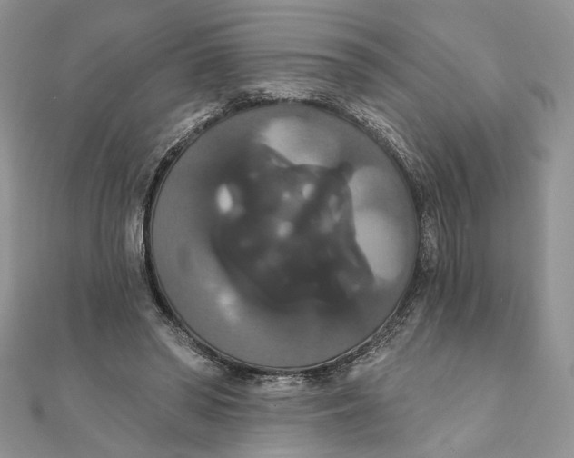 X0000111440398200908031356