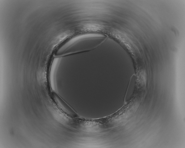 X0000111440399200908031356