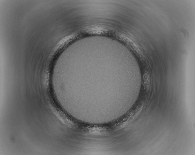 X0000111440400200908031356