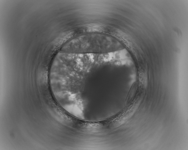 X0000111440401200908031356