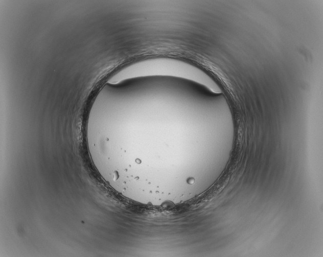 X0000111440403200908031356