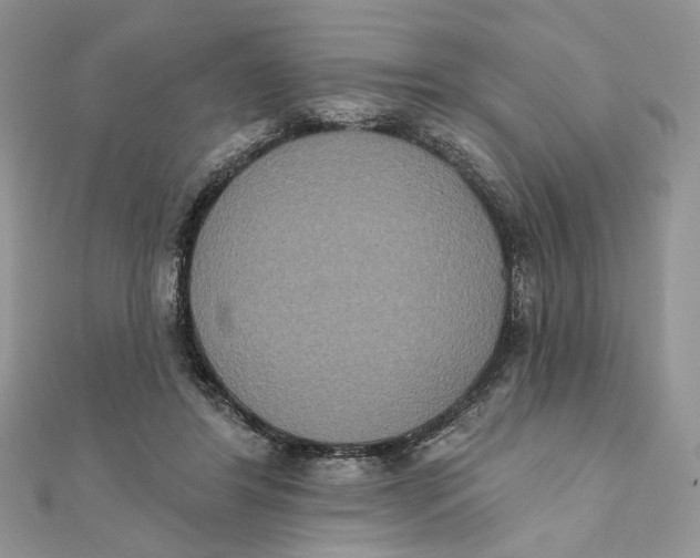 X0000111440404200908031356