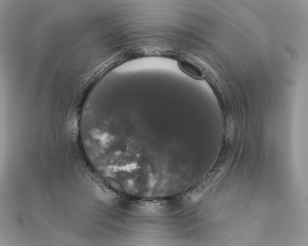 X0000111440405200908031356