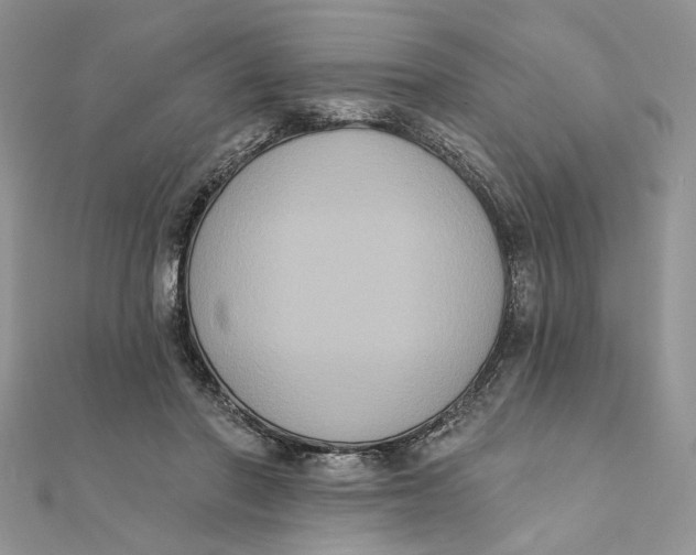 X0000111440406200908031356