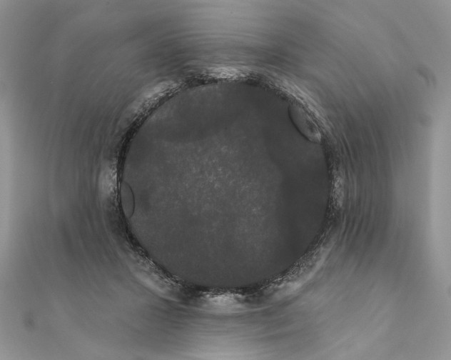 X0000111440407200908031356