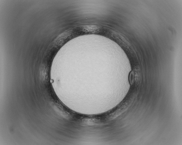 X0000111440408200908031356