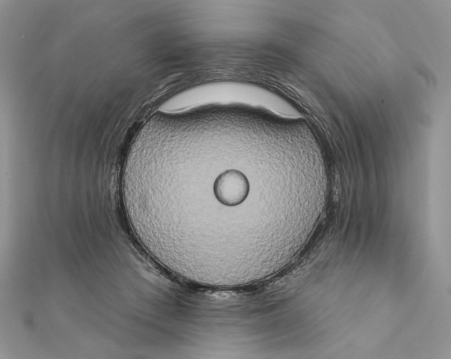 X0000111440409200908031356