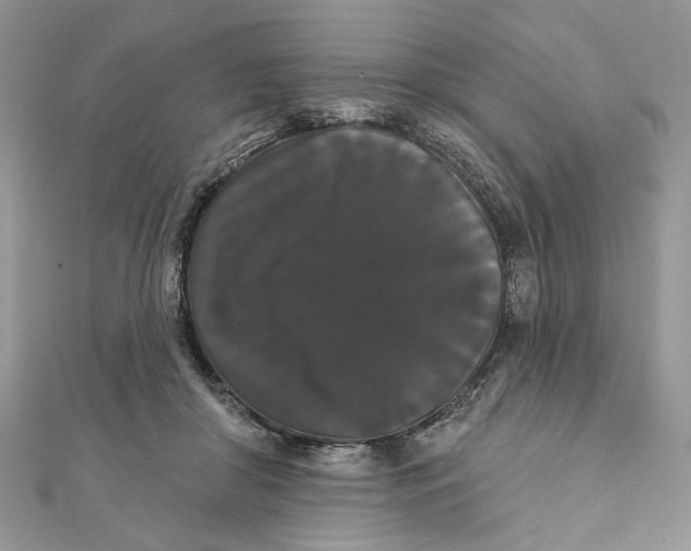 X0000111440410200908031356