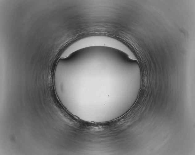 X0000111440411200908031356