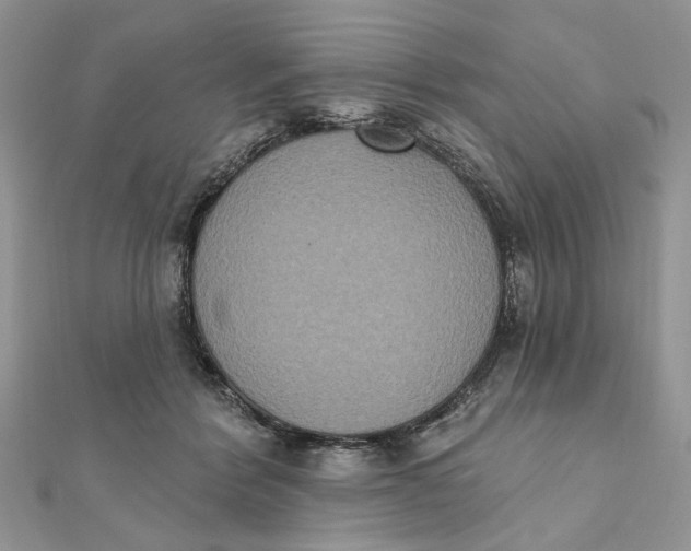 X0000111440412200908031356