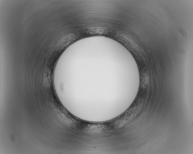 X0000111440414200908031356