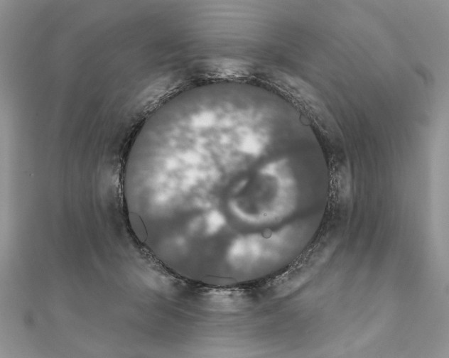 X0000111440415200908031356