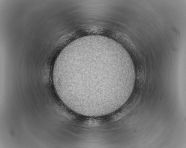 X0000111440416200908031356