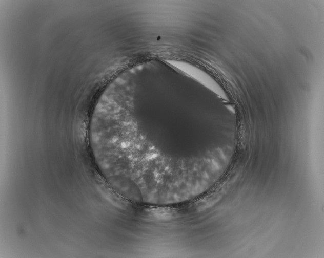 X0000111440417200908031356