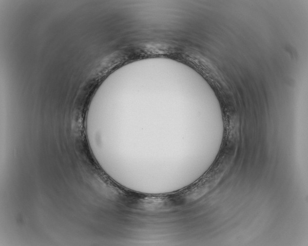 X0000111440418200908031356