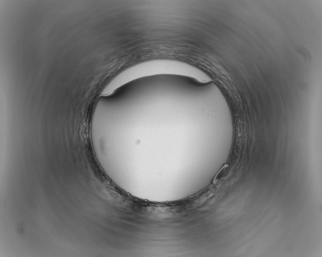 X0000111440419200908031356