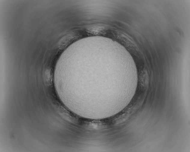 X0000111440420200908031356