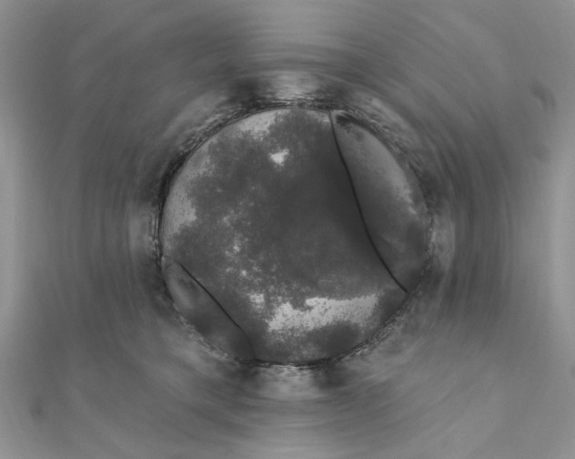 X0000111440421200908031356